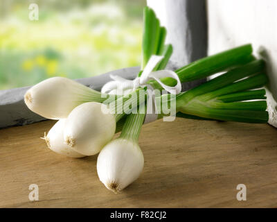 still life of a bunch of fresh spring onions, salad onions, in a kitchen setting Stock Photo