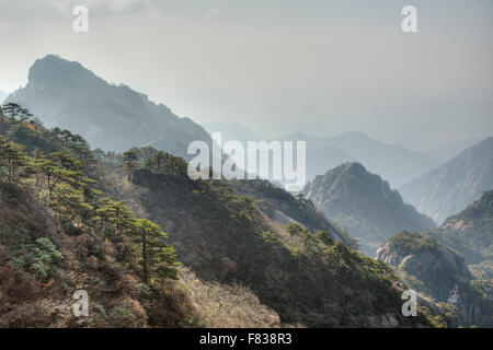 Yellow Mountains - Huangshan Anhui Province China LA008401 Stock Photo