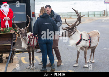 Bournemouth, Dorset, UK. 5th Dec, 2015. Father Christmas, aka Santa Claus, with his reindeer getting ready to pull the sleigh at Boscombe Pier for the parade into Boscombe centre. Credit:  Carolyn Jenkins/Alamy Live News