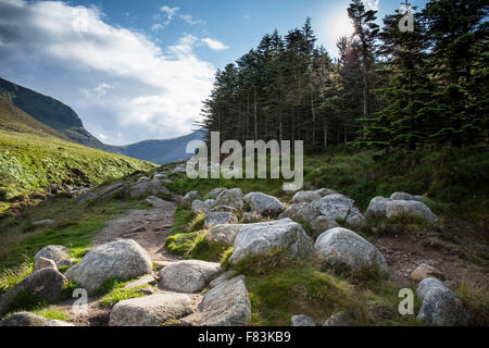 A view of the Glen river and Donard forest on the ascent to Slieve Donard. Stock Photo