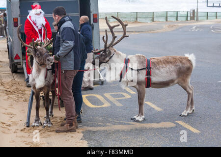 Bournemouth, Dorset, UK, 5th Dec, 2015. Bournemouth, Dorset, UK. 5th Dec, 2015. Father Christmas, aka Santa Claus, with his reindeer getting ready to pull the sleigh at Boscombe Pier for the parade into Boscombe centre. Credit:  Carolyn Jenkins/Alamy Live News
