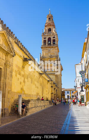 typical Andalusian courtyard decorated with flowers in the city of Cordoba, Spain Stock Photo