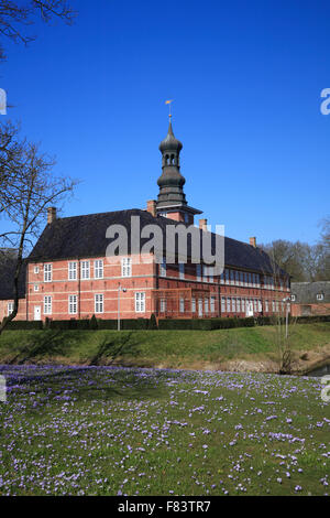 Blooming crocus meadow at Husum Castle, North Frisia, Schleswig-Holstein,  Germany, Europe Stock Photo