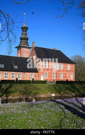 Blooming crocus meadow at Husum Castle, North Frisia, Schleswig-Holstein,  Germany, Europe Stock Photo