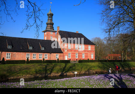 Blooming crocus meadow at Husum Castle, North Frisia, Schleswig-Holstein,  Germany, Europe Stock Photo