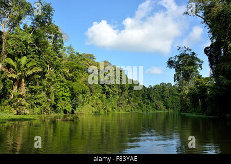 Landscape in Tortuguero National Park Costa Rica Stock Photo