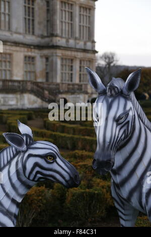 A pair of Longleat Festival of Light wire framed silk zebra animals in the gardens of the main house