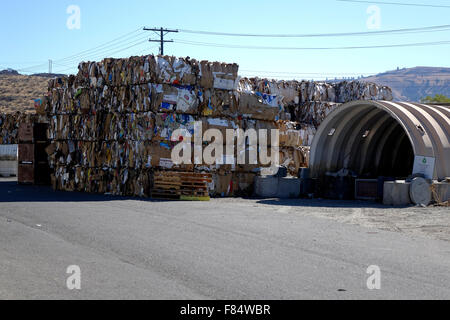Used cardboard is delivered to a recycle center where it is flattened, pressed and strapped into bundles for recycling. Stock Photo