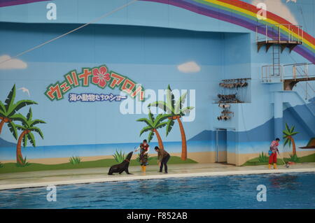 Dolphin dance in Sea aquarium: Biggest collection of fishes and sea animal in japanese aquarium Stock Photo