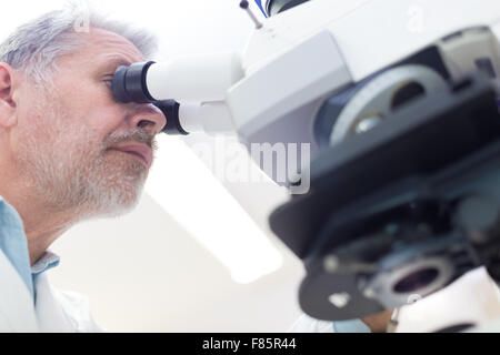 Senior scientist  microscoping in lab. Stock Photo