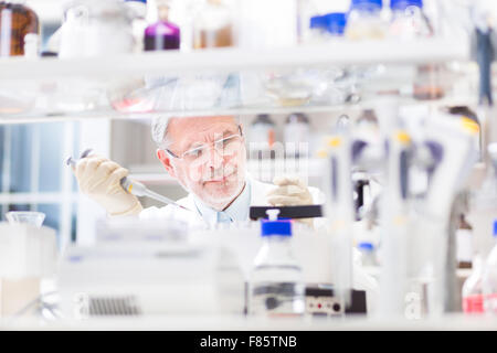 Life scientist researching in the laboratory. Stock Photo
