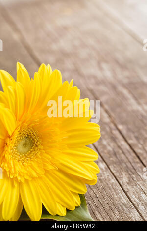 yellow gerbera on old wooden table Stock Photo
