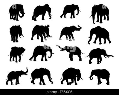 A set of elephants in silhouette in many poses Stock Photo