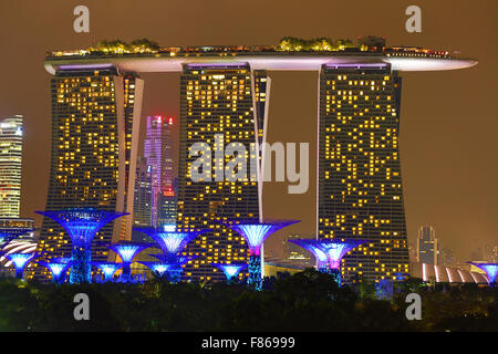 Night scene of the city skyline of Singapore showing the Flower Dome and Cloud Forest domes and Supertrees Grove in the Gardens Stock Photo