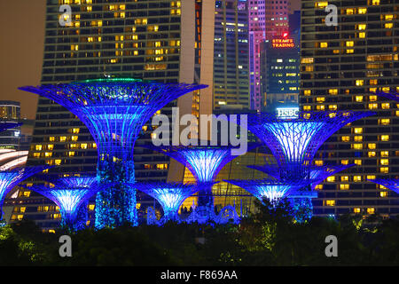 Night scene of the illuminated Supertrees in the Supertrees Grove in the Gardens by the Bay, Singapore, Republic of Singapore Stock Photo