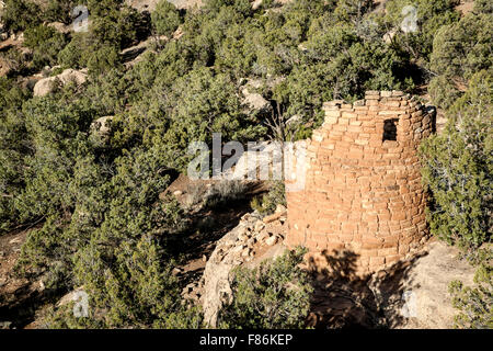 Tower, Painted Hand Pueblo, Canyon of the Ancients National Monument, Colorado USA Stock Photo