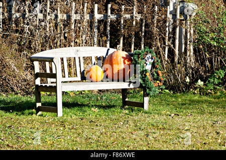 Orange pumpkins on old wood bench seat in garden, Upper Bavaria Germany, Europe. Stock Photo