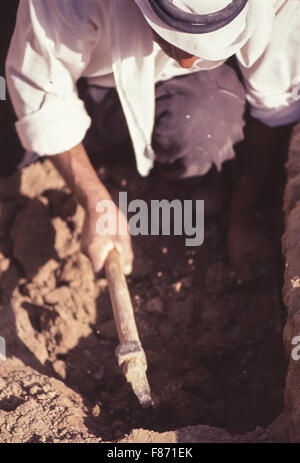 Archaelogical excavations being conducted by the British Museum at the ...