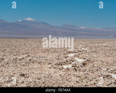Salar de Atacama and Laguna Chaxa in the near of San Pedro de Atacama, Chile Stock Photo