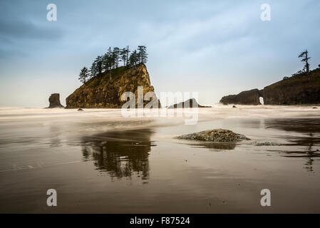 Second Beach in Olympic National Park located in Washington State. Stock Photo