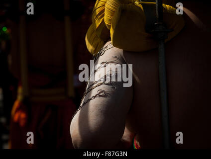 Hindu Devotee In Annual Thaipusam Religious Festival In Batu Caves With His Arm Pierced With Hooks, Southeast Asia, Kuala Lumpur, Malaysia Stock Photo