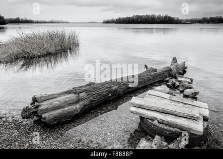 A tree trunk is floating on the Dnieper river in Kiev, Ukraine. Cold weather and calm water during a winter evening Stock Photo