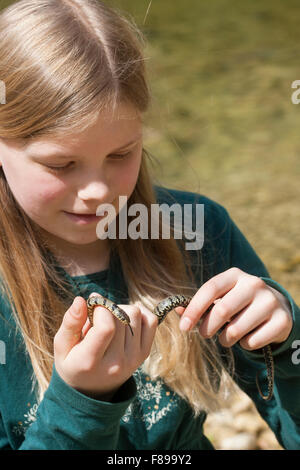 Sicilian Grass Snake, girl, child, Sizillianische Ringelnatter, Süditalienische Ringelnatter, Mädchen, Natrix natrix sicula Stock Photo