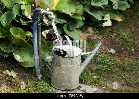 A metal watering can on a garden lawn Stock Photo