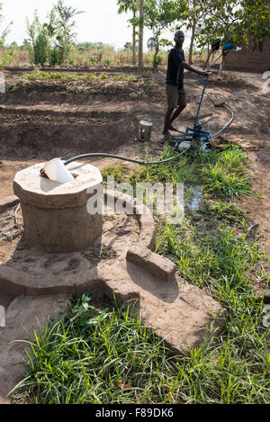 ZAMBIA, Chipata, small scale farmer irrigates vegetable farm with pedal water pump or treadle pump to sell vegetables to generate additional income Stock Photo