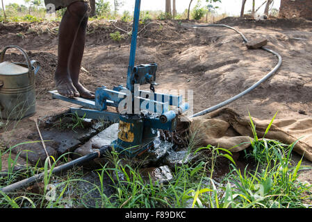 ZAMBIA, Chipata, small scale farmer irrigates vegetable farm with pedal water pump or treadle pump to sell vegetables to generate additional income Stock Photo