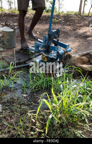 ZAMBIA, Chipata, small scale farmer irrigates vegetable farm with pedal water pump or treadle pump to sell vegetables to generate additional income Stock Photo