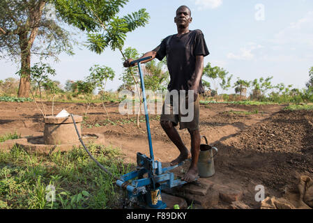 ZAMBIA, Chipata, small scale farmer irrigates vegetable farm with pedal water pump or treadle pump to sell vegetables to generate additional income Stock Photo