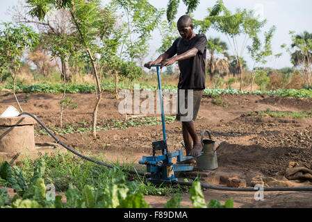 ZAMBIA, Chipata, small scale farmer irrigates vegetable farm with pedal water pump or treadle pump to sell vegetables to generate additional income Stock Photo