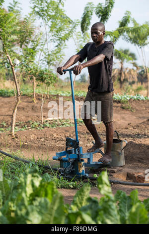 ZAMBIA, Chipata, small scale farmer irrigates vegetable farm with pedal water pump or treadle pump to sell vegetables to generate additional income Stock Photo