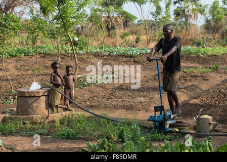 ZAMBIA, Chipata, small scale farmer irrigates vegetable farm with pedal water pump or treadle pump to sell vegetables to generate additional income Stock Photo