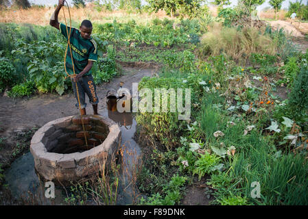 ZAMBIA, Chipata, small-scale farmer irrigates vegetable farm with water from well in village Lupande Stock Photo