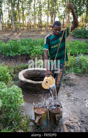 ZAMBIA, Chipata, small-scale farmer irrigates vegetable farm with water from well in village Lupande Stock Photo