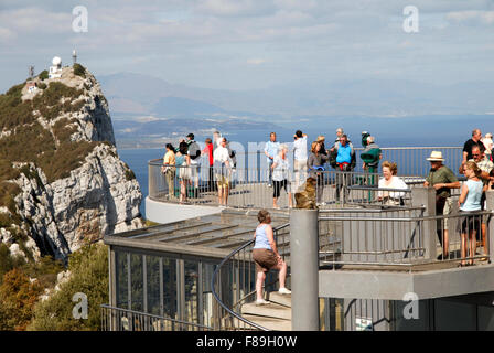 Tourists on the Rock of Gibraltar on the platform above the top station of the cable car.  One macaque in the picture. Stock Photo