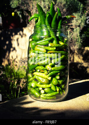 Download green chili peppers in jar Stock Photo: 112020794 - Alamy Yellowimages Mockups