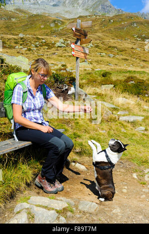 hiking woman with dog Boston Terrier at trail in alps mountains Stock Photo