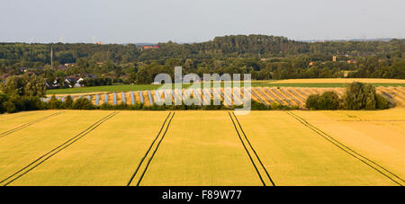 High angle view over fields to a large solar panel park providing renewable energy. Stock Photo