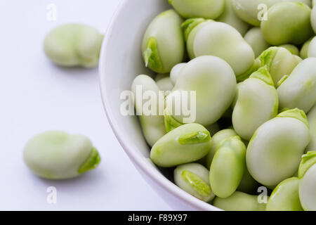 A close up image of a white bowlful of freshly picked broad beans on a white background. Stock Photo