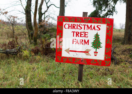 Christmas tree farm, cut your own. Hand-lettering vintage sign with Stock Vector Art ...