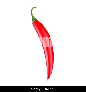 Realistic picture of the Cayenne red pepper Stock Vector