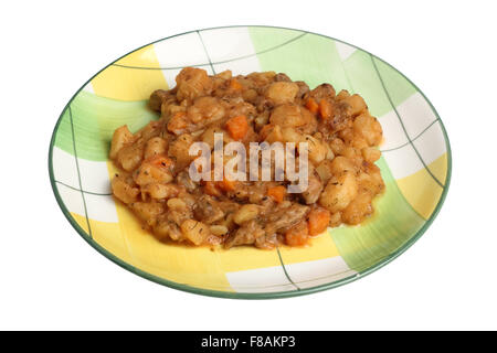 Vegetable Stew with Chicken Gizzards. Isolated with clipping path. Stock Photo