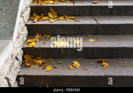 close up of fallen maple leaves on stone stairs Stock Photo