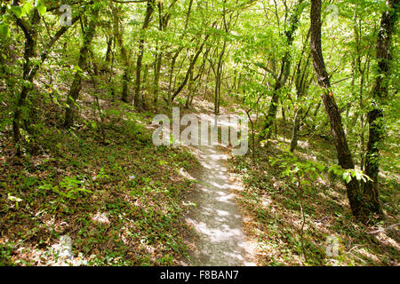southern coast of the Caucasus Stock Photo
