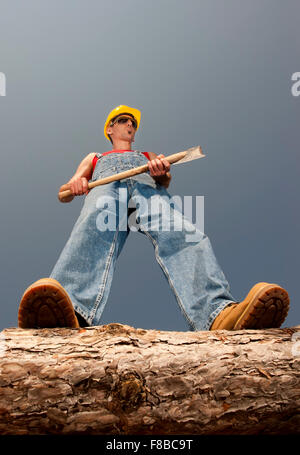 woodcutter cuts the tree in the forest Stock Photo