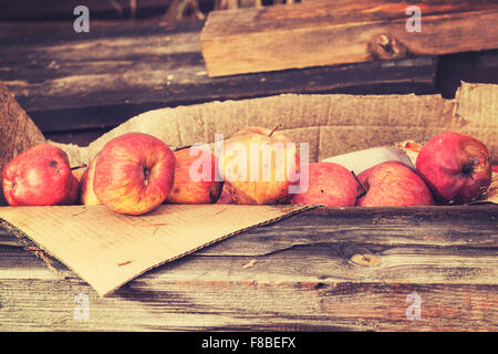 Vintage toned rotten apples in carton on wooden boards. Stock Photo