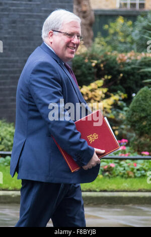 Downing Street, London, December 8th 2015. Northern Ireland Secretary ...